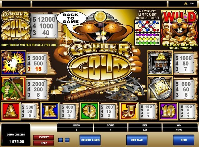 таблица выплат Gopher Gold таблица выплат Gopher Gold