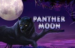 Panther Moon